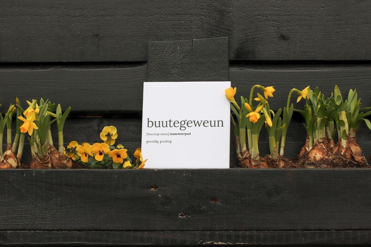 B&B Buutegeweun Sommelsdijk エクステリア 写真