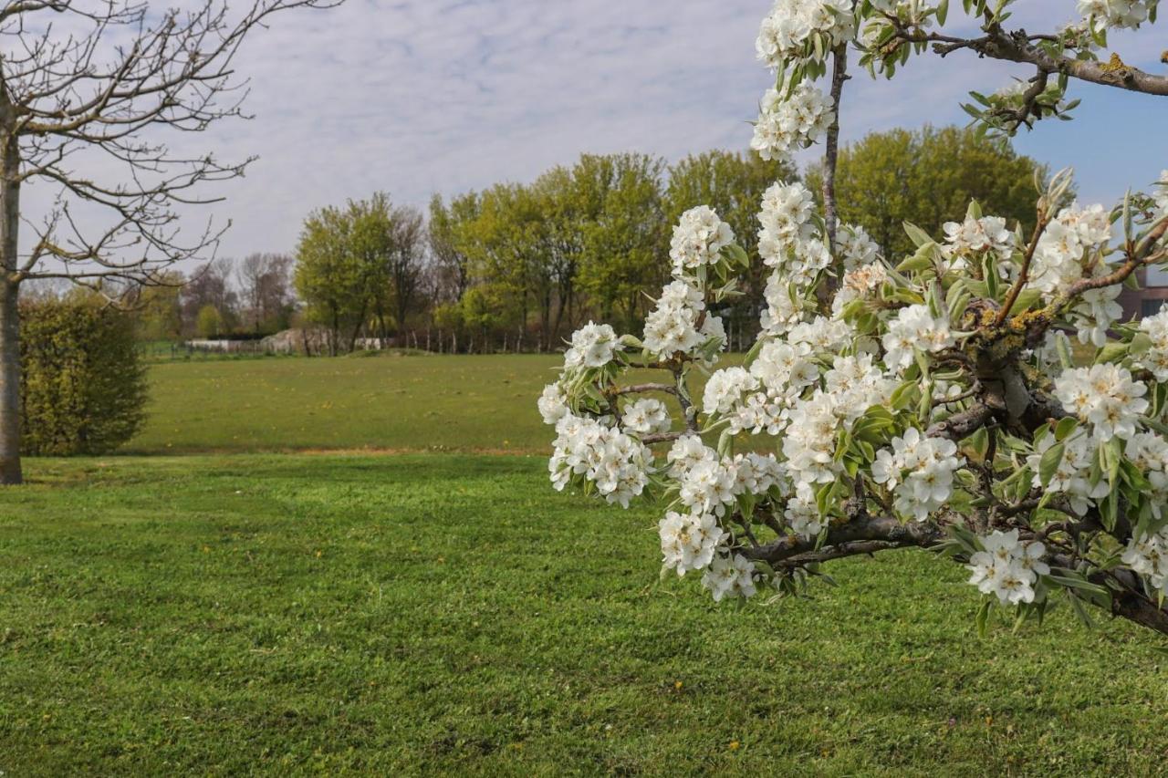 B&B Buutegeweun Sommelsdijk エクステリア 写真